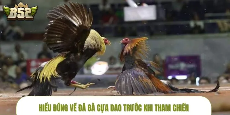 Đá gà cựa dao là bộ môn cá cược ăn khách hiện nay