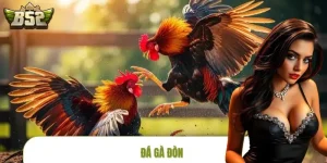 Đá Gà Đòn B52CLUB – Chiến Chắc, Đá Căng, Kịch Tính Cao