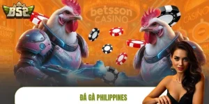 Đá Gà Philippines Gay Cấn Từng Giây – Gia Nhập B52CLUB Ngay