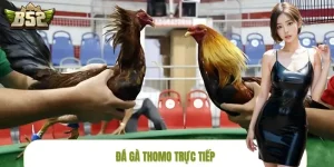 da-ga-thomo-truc-tiep
