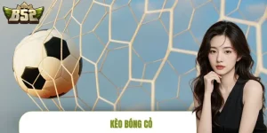 Kèo Bóng Cỏ - Review Về Tỷ Lệ Cược Bóng Đá Không Chuyên 